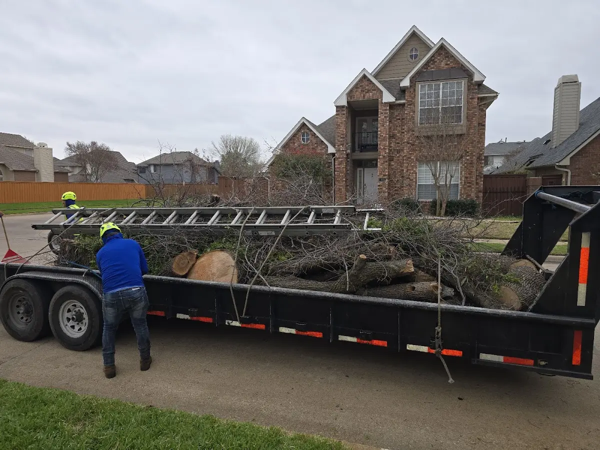 Expert Tree Pest Control with proper safety equipment in Prospect Harbor
